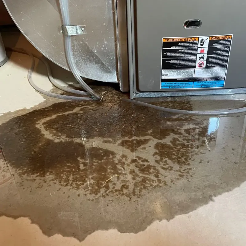 Pipe Burst and Leak Restoration in Eddy County, NM